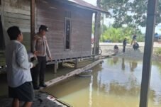 Aksi Heroik Nenek Ernawati: Berduel dengan Buaya demi Nyawa Sang Cucu