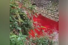 Menyoal Fenomena Kali Merah di Tangsel: Antara Viral dan Klaim Pemerintah