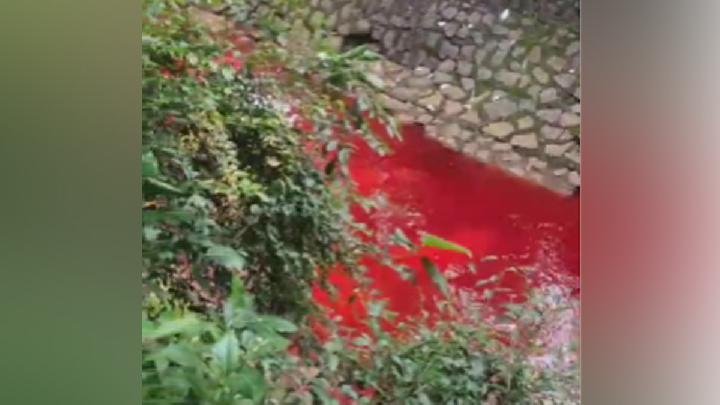 Menyoal Fenomena Kali Merah di Tangsel: Antara Viral dan Klaim Pemerintah