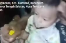 Ayah di NTT Paksa Anak 11 Bulan Minum Miras, Polisi Turun Tangan