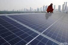 Tak Banyak yang Tahu, Masjid Nabawi Pernah Dibangun dari Batang Kurma