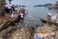 Atasi Tumpukan Sampah, Kader Gerindra Kompak Bersihkan Pulau Merak Besar