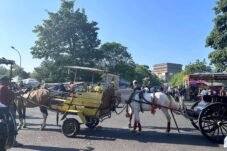 Melawan Arus Zaman, Delman Tetap Eksis di Hati Warga Demak