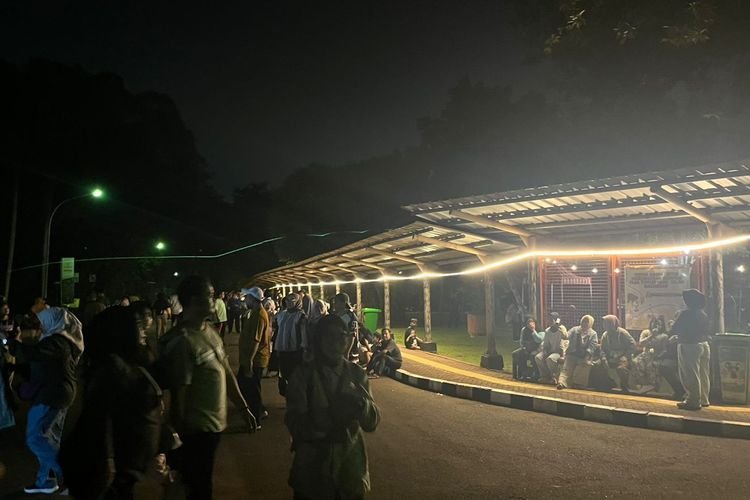 Ragunan Night Zoo Sedot Ribuan Pengunjung dalam Semalam