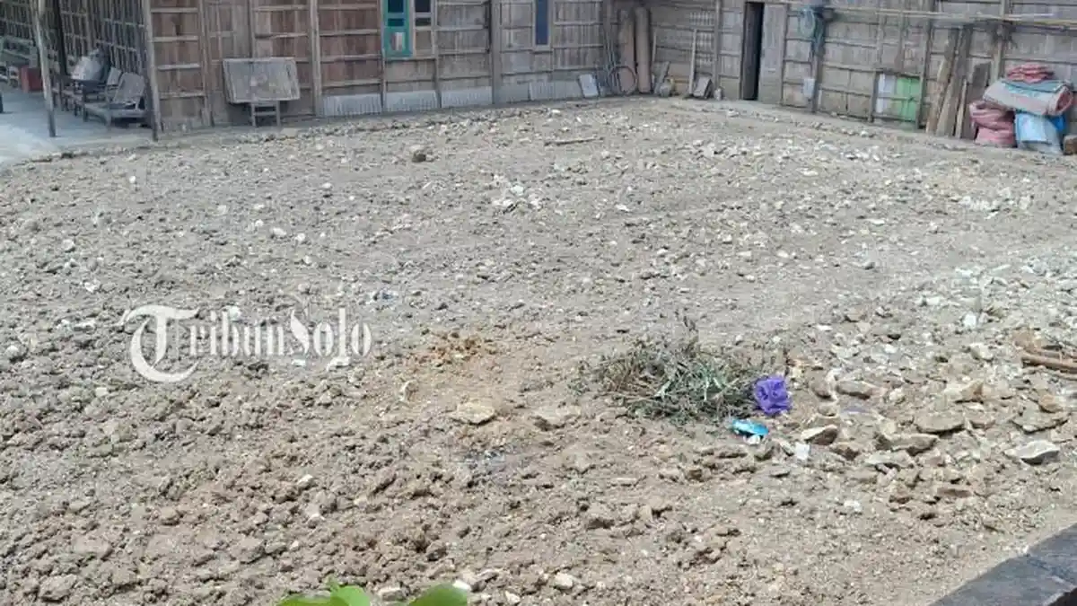 “The Real ‘Buang Mantan Buang Rumah’: Aksi Pria Sragen Robohkan Rumah Ini Bikin Netizen Heboh.”