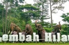 Menikmati Senja di Lembah Hijau Lampung: Spot Ngabuburit Paket Lengkap!
