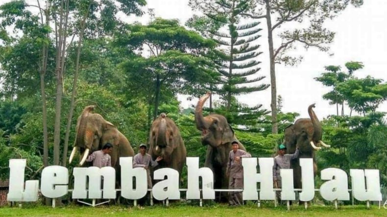 Menikmati Senja di Lembah Hijau Lampung: Spot Ngabuburit Paket Lengkap!