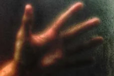 Polisi Amankan Pria yang Aniaya Balita di Hotel Karawang Karena Menangis