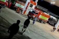 Sopir Nyaris Adu Parang di SPBU Mamuju, Antrean Solar jadi Biang Keladinya