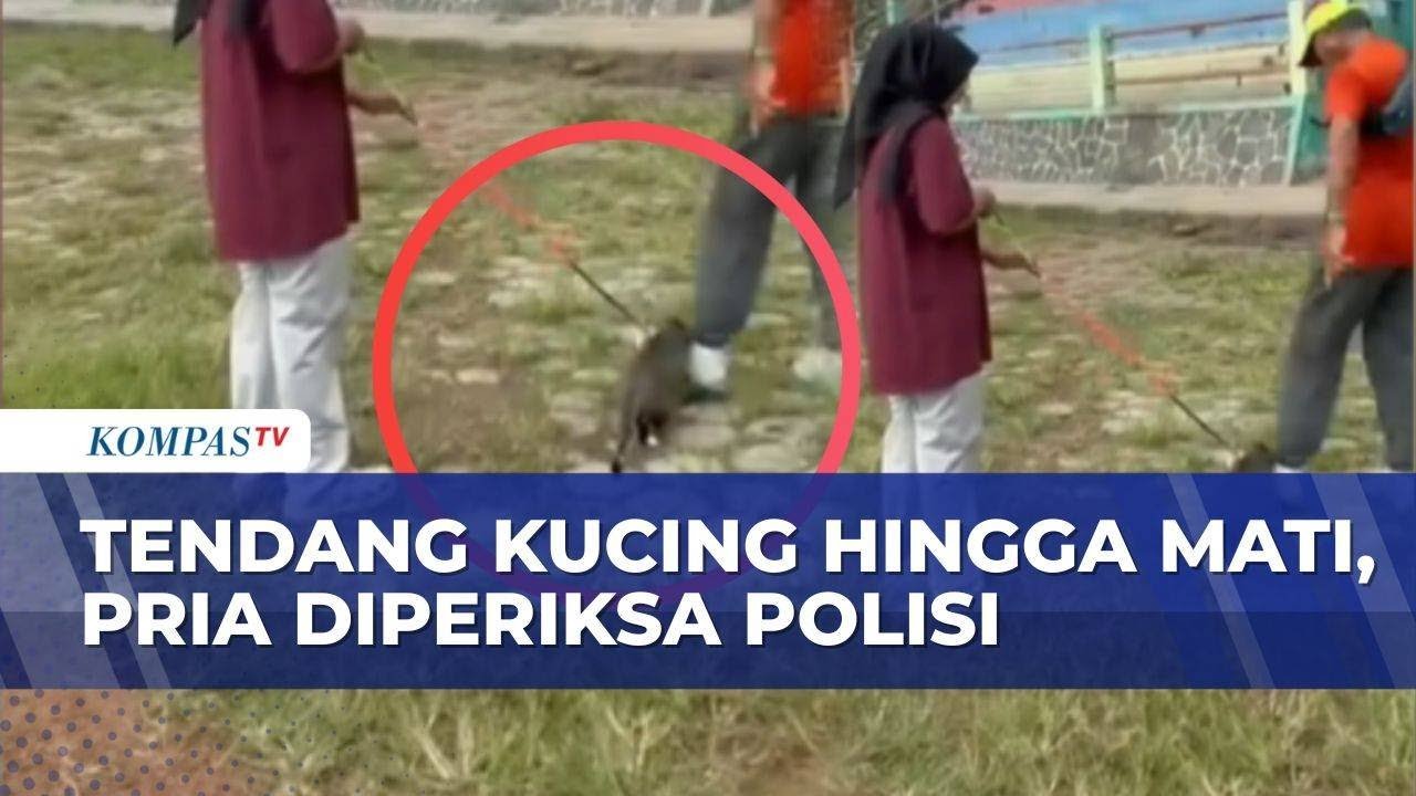 Bikin Geram! Pria di Blora Tega Tendang Kucing Hingga Tewas, Polisi Langsung Bertindak